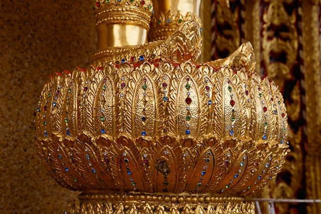 Talin chan-NOV13-099